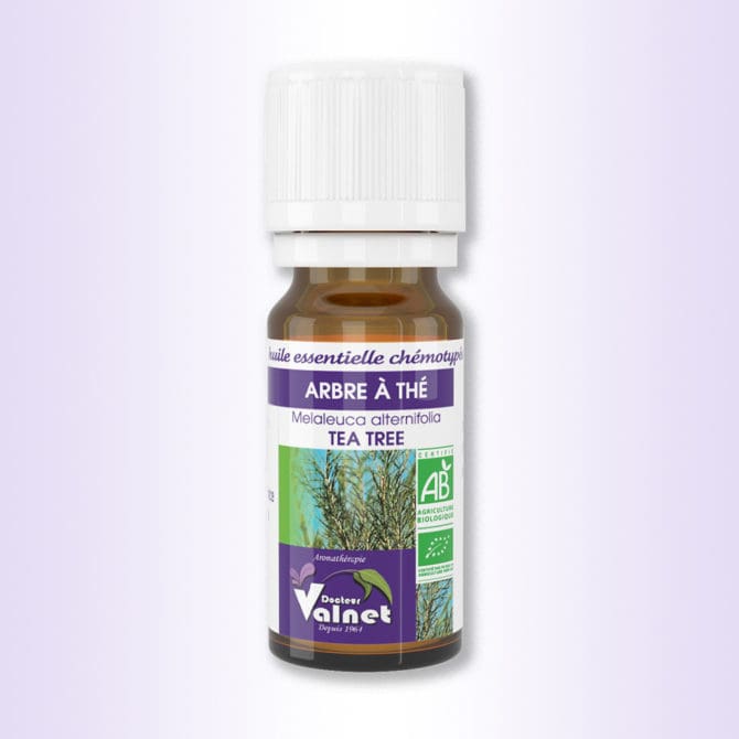 flacon 10 ml d'huile essentielle d'arbre à thé du Dr. Valnet