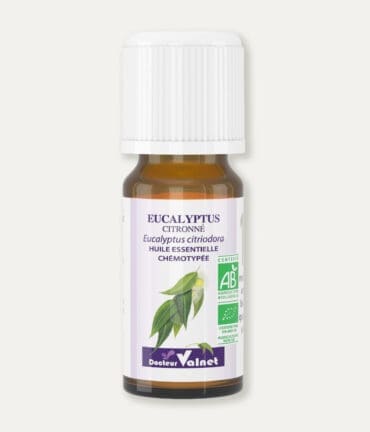 Flacon 10 ml d'huile essentielle d'eucalyptus citronné. Certifiée label AB, Agriculture Biologique.