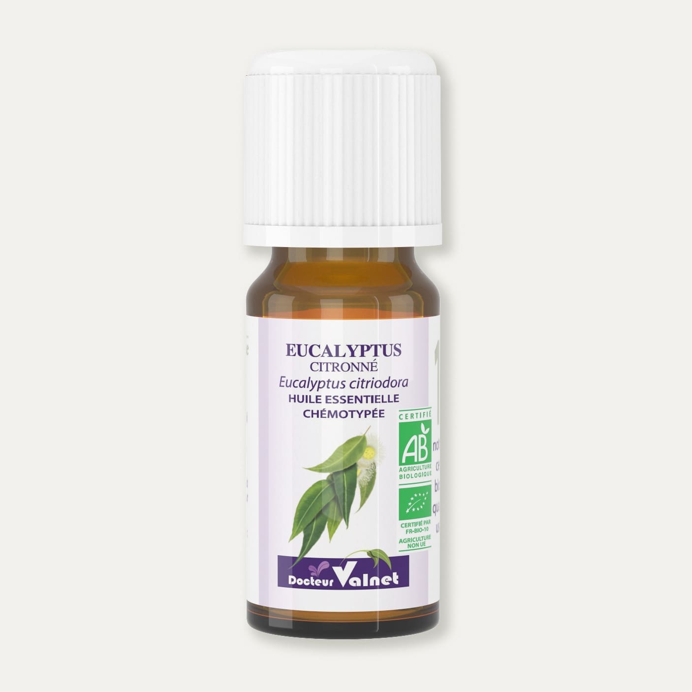 Eucalyptus citronné