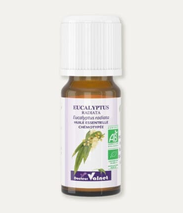 Flacon 10 ml d'huile essentielle d'eucalyptus radiata. Certifiée label AB, Agriculture Biologique.