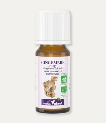 Flacon 10 ml d'huile essentielle de gingembre frais. Certifiée label AB, Agriculture Biologique.