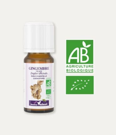 Huile essentielle de gingembre frais 100% BIO, certifiée label AB, Agriculture Biologique.