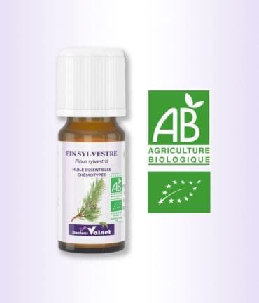 Flacon 10 ml d'huile essentielle de Pin Sylvestre 100% BIO. Certifiée label AB, Agriculture Biologique.