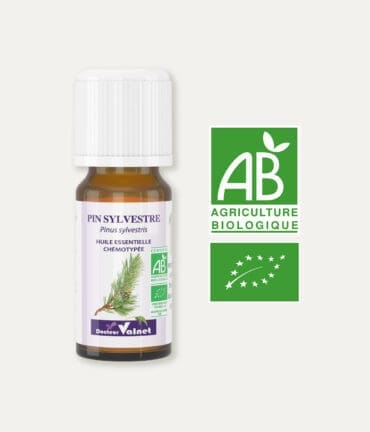 Huile essentielle de pin sylvestre 100% BIO, certifiée label AB, Agriculture Biologique.