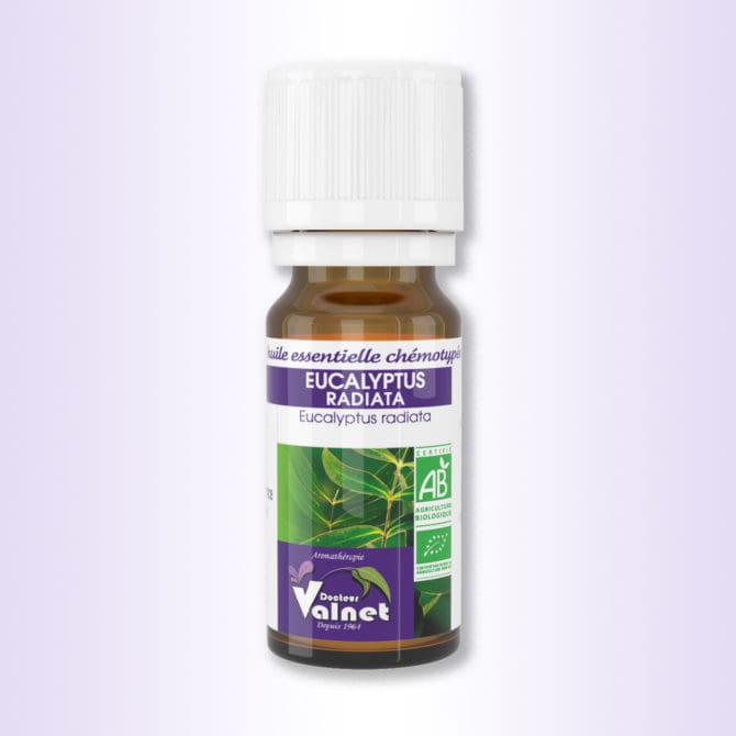 flacon 10 ml d'huile essentielle d'eucalyptus radiata du Dr. valnet