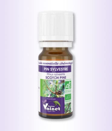 Flacon de 10 ml d'huile essentielle de Pin sylvestre du docteur valnet